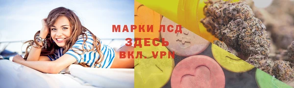 крисы Козловка