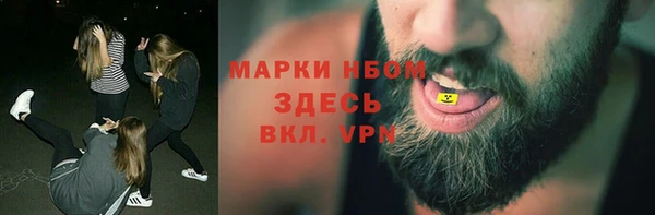 крисы Козловка
