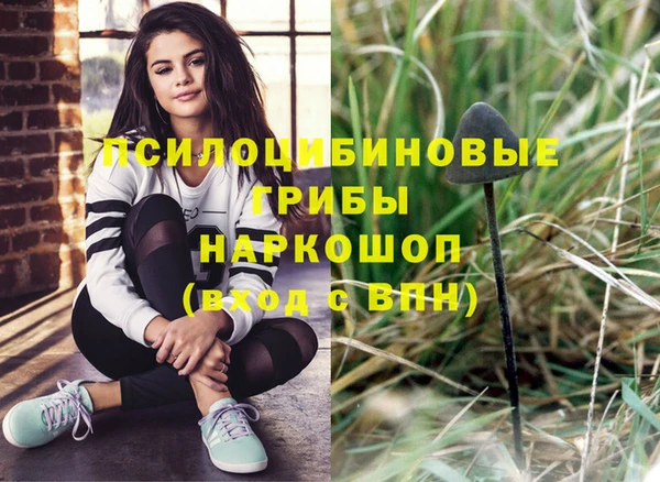 крисы Козловка