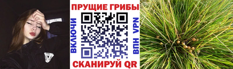 Галлюциногенные грибы мухоморы  Купить где  Жигулёвск 